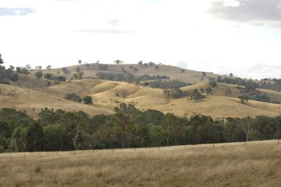 Evening light on Summer dry hills