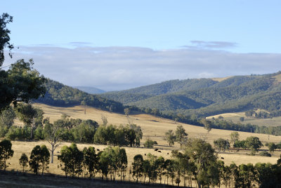 Morning - looking South down the Boggy Creek Valley