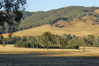 Early morning - Looking South West.