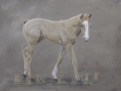 Palomino Foal 