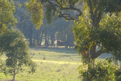 Over the road neighbour's haystack - 500 metres away.