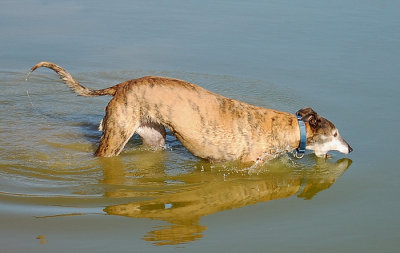 Lucy - I'm going to swallow it all up!