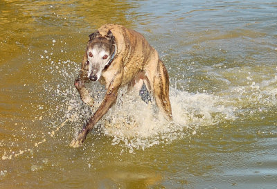 Lucy - refreshed and feeling good.