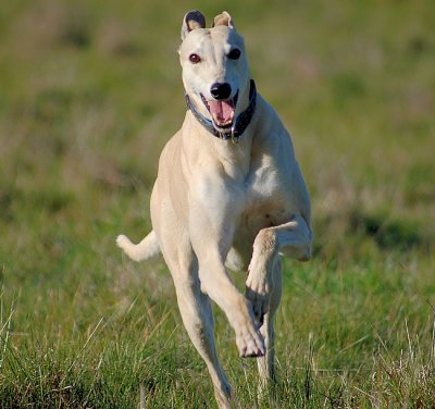 Honey who can smile and run at the same time.