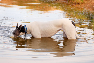 Cooling off after a walk on a rather warm morning.