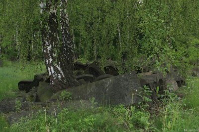 IMG_16551.JPG