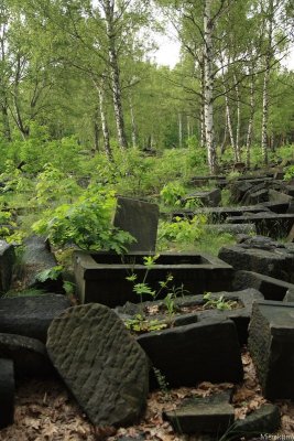 IMG_16560.JPG