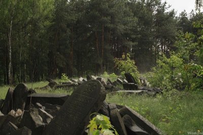 IMG_16565.JPG
