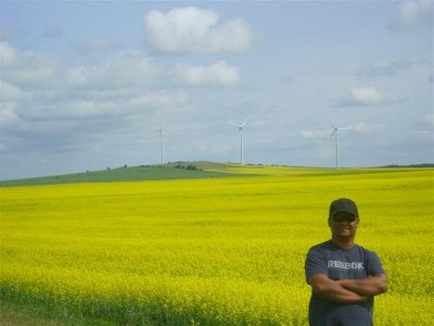 Don...Windmills and Canola field