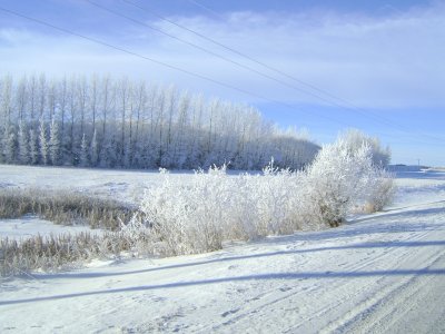 g3/54/692654/3/121246393.dJg4PqeG.jpg
