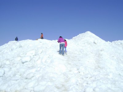 g3/54/692654/3/123753079.ERtSn0Ap.jpg