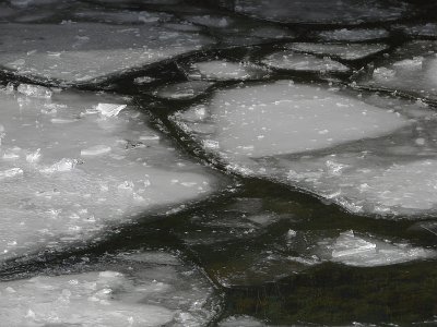Bleak winter ice