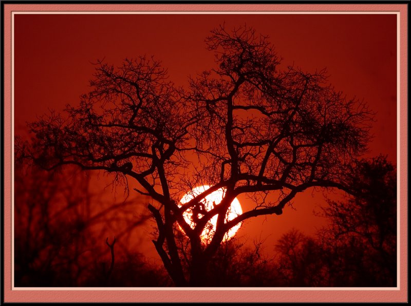 Magnificient Sunsets (5555)