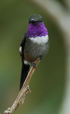 g3/54/745754/3/119738260.QrGn8kQQ.jpg