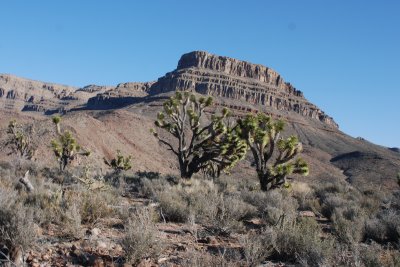 The trail toward Spirit Mountain