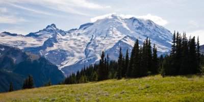 Mt. Rainier Vistas & Micro-cosms