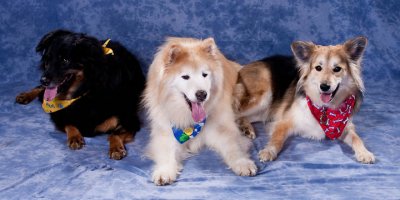 My pack