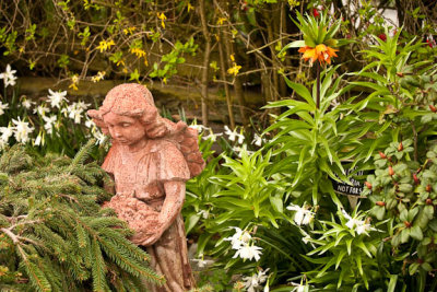 Garden Angel