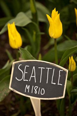 Seattle