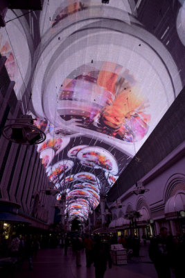 Fremont Experience Show