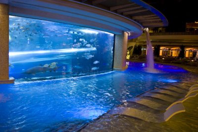 Golden Nugget Shark Pool