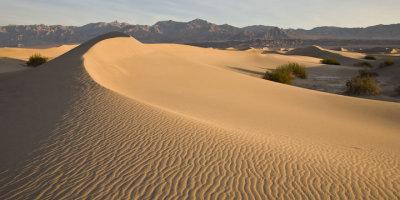 Dune curves