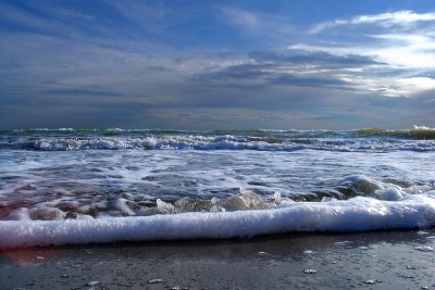 Surf's Up!  - a Crab's View