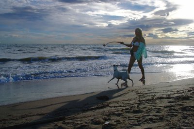 Dog Walks Lady on the Beach