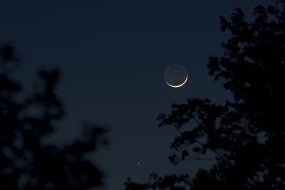 New Moon