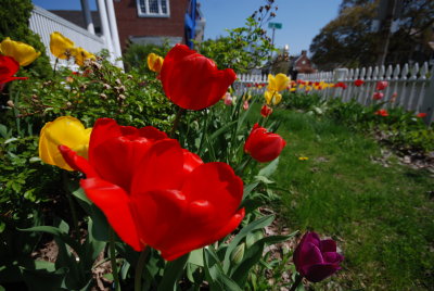 Gt. Barrington MA