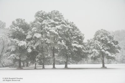 Snowfall-Madison County-01