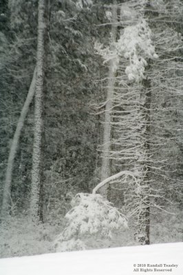 Snowfall-Madison County-02
