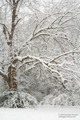 Snowfall-Madison County-03