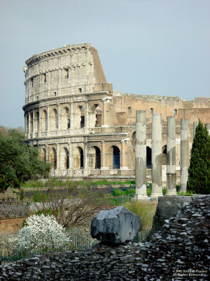 Rome-Colosseum