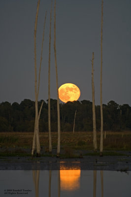 FullMoon-2005-10-17