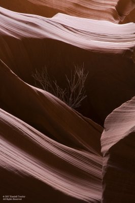 Antelope-Canyon-11.jpg