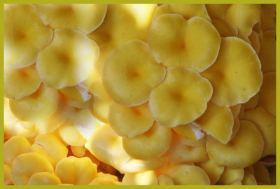 g3/54/802554/3/94551352.n9B7iTxX.jpg