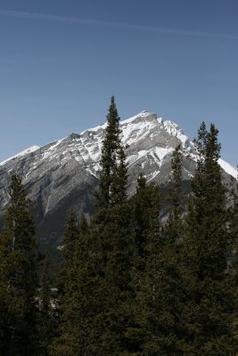 IMG_9463.JPG