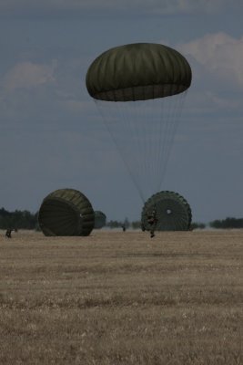 YLJ0001_22.JPG