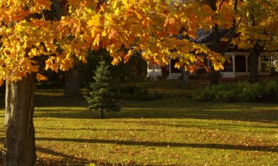 Automne  la campagne