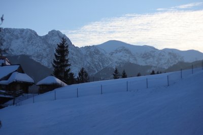 tn_IMG_3308.JPG