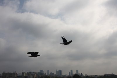 tn_IMG_4883.JPG