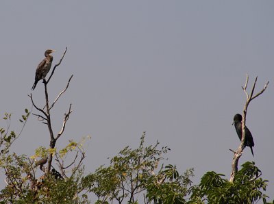 IMG_1079.JPG