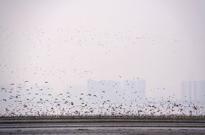 IMG_1120.JPG