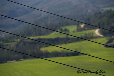 Raindrops in the wires