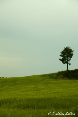 Altres imatges de la Ruta de la Sal