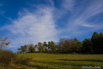 g3/54/901054/3/125420134.wi2j1BRQ.jpg