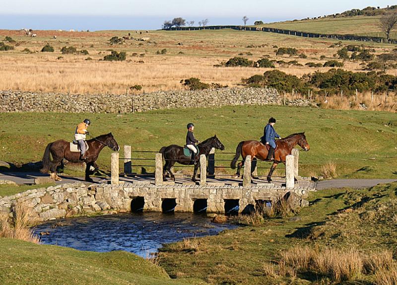 Horses at Moorgate