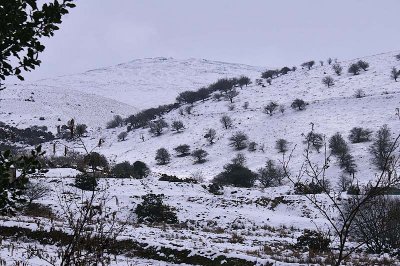 March Snow Near Meldon.