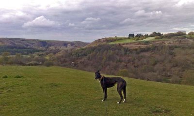 On Torrington Common .jpg